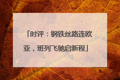 时评：钢铁丝路连欧亚，班列飞驰启新程