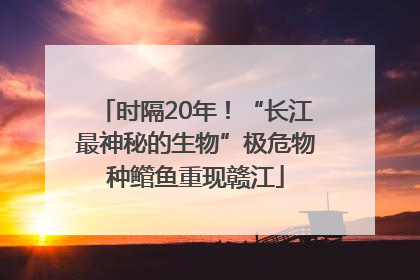 时隔20年！“长江最神秘的生物”极危物种鳤鱼重现赣江