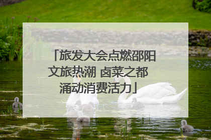 旅发大会点燃邵阳文旅热潮 卤菜之都涌动消费活力