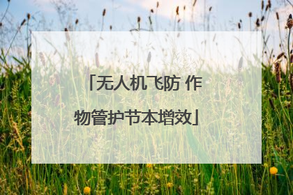 无人机飞防 作物管护节本增效