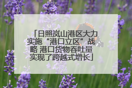日照岚山港区大力实施“港口立区”战略 港口货物吞吐量实现了跨越式增长