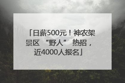 日薪500元！神农架景区 “野人” 热招，近4000人报名
