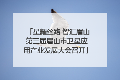 星耀丝路 智汇眉山 第三届眉山市卫星应用产业发展大会召开