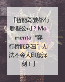 智能驾驶都有哪些公司？Momenta“穿行桥底迷宫”无法不令人印象深刻！