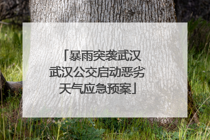 暴雨突袭武汉 武汉公交启动恶劣天气应急预案
