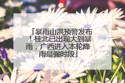 暴雨山洪预警发布！桂北已出现大到暴雨，广西进入本轮降雨最强时段