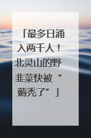 最多日涌入两千人！北灵山的野韭菜快被“薅秃了”