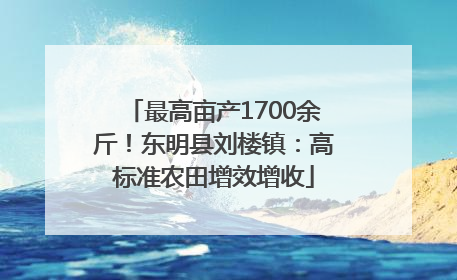 最高亩产1700余斤！东明县刘楼镇：高标准农田增效增收