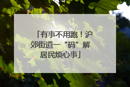 有事不用跑！沪郊街道一“码”解居民烦心事