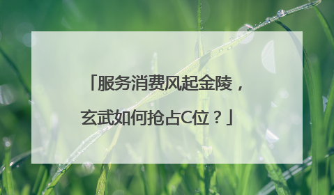 服务消费风起金陵,玄武如何抢占C位?