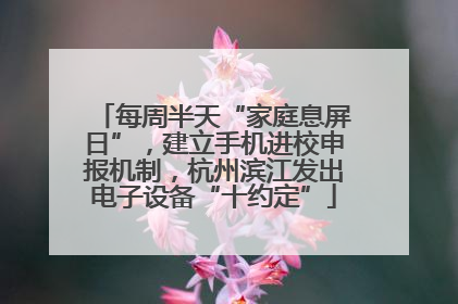 每周半天“家庭息屏日”，建立手机进校申报机制，杭州滨江发出电子设备“十约定”