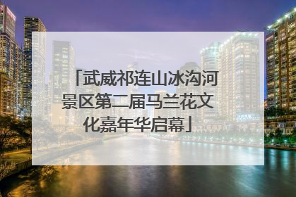 武威祁连山冰沟河景区第二届马兰花文化嘉年华启幕