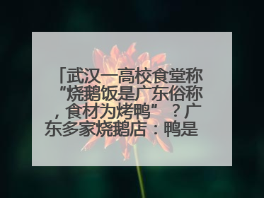 武汉一高校食堂称“烧鹅饭是广东俗称，食材为烤鸭”？广东多家烧鹅店：鸭是鸭鹅是鹅