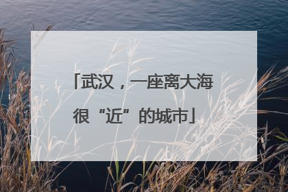 武汉，一座离大海很“近”的城市