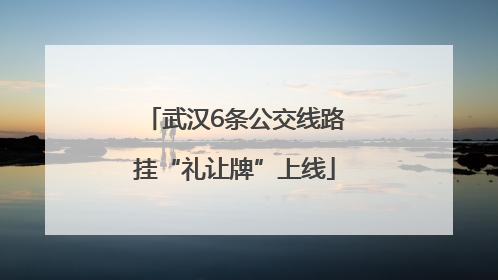 武汉6条公交线路挂“礼让牌”上线