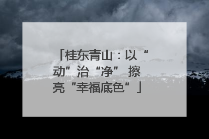桂东青山：以“动”治“净” 擦亮“幸福底色”
