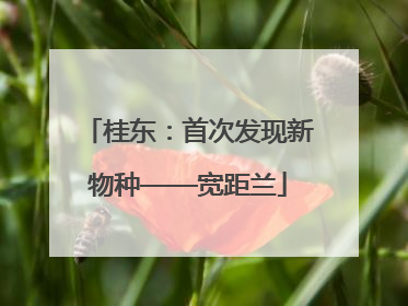 桂东：首次发现新物种——宽距兰