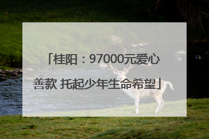 桂阳：97000元爱心善款 托起少年生命希望