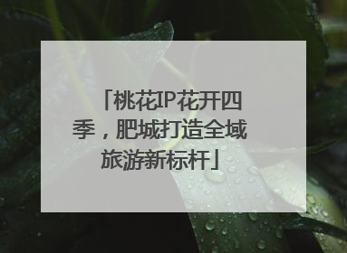 桃花IP花开四季，肥城打造全域旅游新标杆
