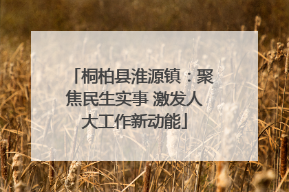 桐柏县淮源镇：聚焦民生实事 激发人大工作新动能