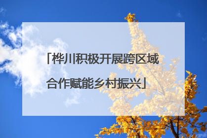 桦川积极开展跨区域合作赋能乡村振兴