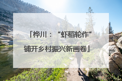 桦川：“虾稻轮作”铺开乡村振兴新画卷