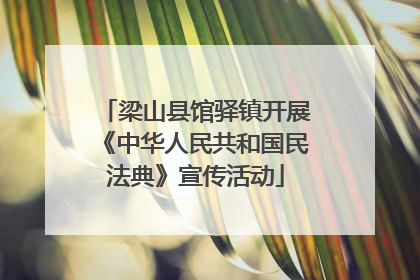 梁山县馆驿镇开展《中华人民共和国民法典》宣传活动