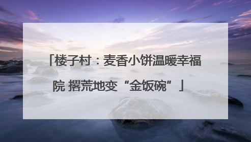 楼子村：麦香小饼温暖幸福院 撂荒地变“金饭碗”