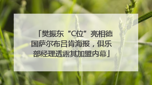 樊振东“C位”亮相德国萨尔布吕肯海报，俱乐部经理透露其加盟内幕