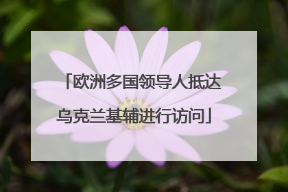欧洲多国领导人抵达乌克兰基辅进行访问