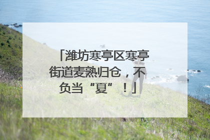 潍坊寒亭区寒亭街道麦熟归仓，不负当“夏”！
