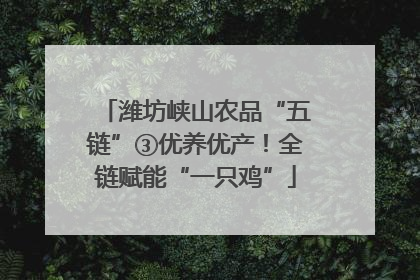 潍坊峡山农品“五链”③优养优产！全链赋能“一只鸡”