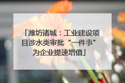 潍坊诸城：工业建设项目涉水类审批“一件事” 为企业提速增值