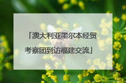 澳大利亚墨尔本经贸考察团到访福建交流
