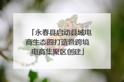 永春县启动县域电商生态圈打造暨跨境电商集聚区创建