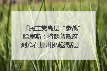 民主党高层“参战” 哈里斯：特朗普政府刻意在加州挑起混乱