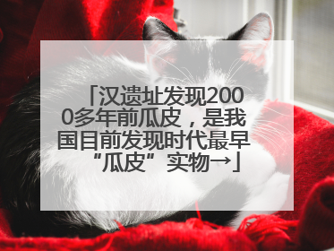 汉遗址发现2000多年前瓜皮，是我国目前发现时代最早“瓜皮”实物→