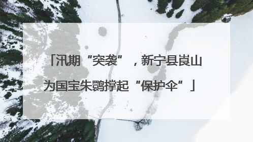 汛期“突袭”，新宁县崀山为国宝朱鹮撑起“保护伞”