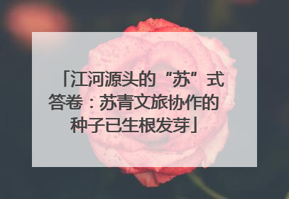 江河源头的“苏”式答卷：苏青文旅协作的种子已生根发芽