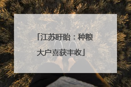 江苏盱眙：种粮大户喜获丰收