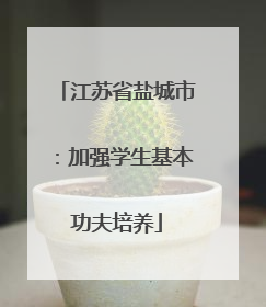 江苏省盐城市：加强学生基本功夫培养