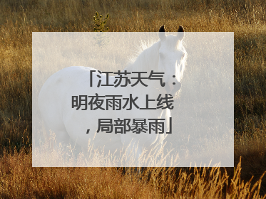 江苏天气：明夜雨水上线，局部暴雨