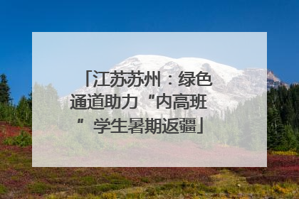 江苏苏州：绿色通道助力“内高班”学生暑期返疆