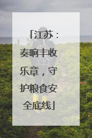 江苏：奏响丰收乐章，守护粮食安全底线