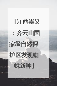 江西崇义：齐云山国家级自然保护区发现蜘蛛新种