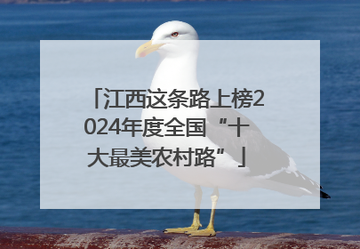 江西这条路上榜2024年度全国“十大最美农村路”