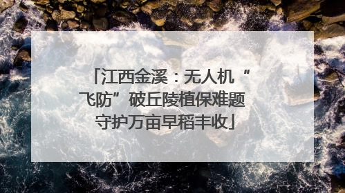 江西金溪：无人机“飞防”破丘陵植保难题 守护万亩早稻丰收