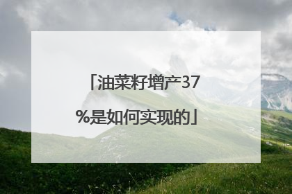 油菜籽增产37%是如何实现的