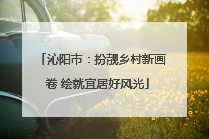 沁阳市：扮靓乡村新画卷 绘就宜居好风光
