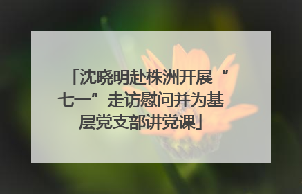 沈晓明赴株洲开展“七一”走访慰问并为基层党支部讲党课